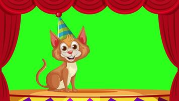 Two animated cats perform on a vibrant stage with confetti and colorful backgrounds, creating a lively and cheerful atmosphere video