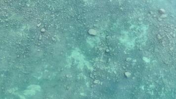 Drone footage captures the serene, shallow, clear blue waters of Lake Tekapo, showcasing its natural beauty from above video