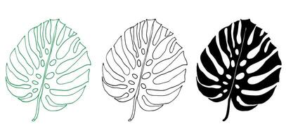 Monstera outline and silhouette set of tropical leaves, greenery design element Monstera leaf, jungle plant. Leaf for coloring book, logo or scrapbook vector