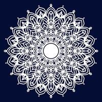 Abstract Indian Mandala with Floral Elements vector