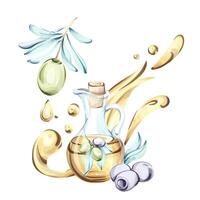 Olives and olive oil captured in a beautiful watercolor illustration emphasizing Italian cuisine and nature vector
