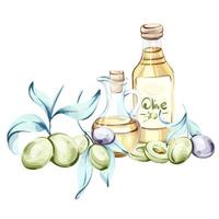 Essence of Italian cuisine illustrated with watercolor olive oil and olives showcasing natures beauty and nourishment vector