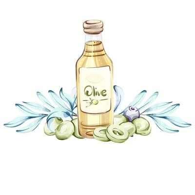 Exploring the Essence of Olive Oil and Olives in a Vibrant Watercolor Illustration frame, border, arrangement
