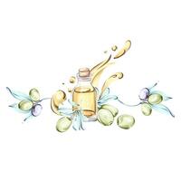 Olives and olive oil watercolor illustrations depicting the richness of Italian cuisine and natures beauty frame, border, arrangement vector