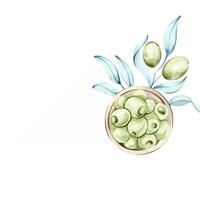 Olives and olive oil illustrated in watercolor celebrating the essence of Italian cuisine and nature frame, border, arrangement vector