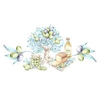 Watercolor illustrations celebrating olives olive oil and their role in Italian cuisine and nature frame, border, arrangement vector