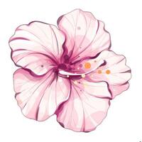 Delicate pink flower opens up under the warm sun, capturing the essence of summer holidays with its vibrant colors. This natural decoration symbolizes relaxation and joy, ideal for festive occasions. vector