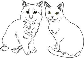 Black White Sketch of Cat Dog vector