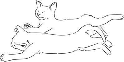 Detailed Cat and Dog Line Drawing vector