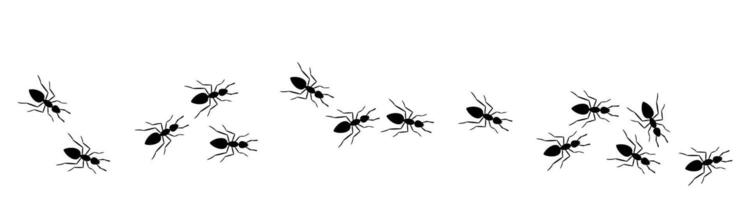 Black silhouette trail of ants marching in random directions. Insect line illustration for biology, nature education, pest control, or design elements. vector