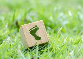 Single wooden cube with REUSED or STEP or Footprint on grass. Eco conscious message. photo