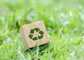 Wooden cube with recycle symbol on green grass. Minimalist eco concept. photo