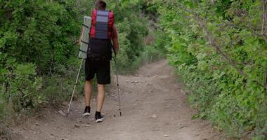 Male hiking through forest path with backpack and video