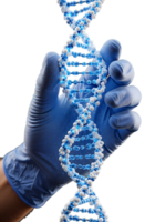 mão segurando dna Duplo hélice modelo, Ciência e genética conceito, isolado em transparente fundo, molecular biologia, pesquisar, Educação png