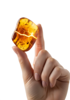 Hand holding polished piece of amber with natural inclusions, fossilized resin, transparent background, organic gemstone png