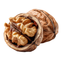 Close up of cracked walnut shell with nut inside on plain studio isolated on transparent background png