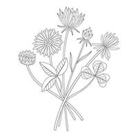 Wildflower bouquet with clover, different meadow flowers, and blooming wild plants. Line art, minimal style, contour. Botanical hand drawn elements for design projects, illustration vector