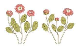 Set of bouquets of pink flowers. Bunches of blooming wildflowers with leaves, perennial wild plants. Botanical hand drawn elements for design projects illustration vector