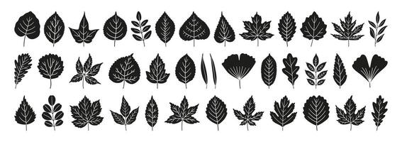 Set of various simple textured autumn black silhouettes leaves vector