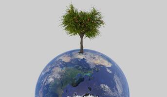 Tree grows on the globe, concept of natural resource conservation, love the world, 3D illustration photo