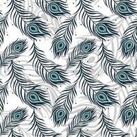 Peacock feather pattern design vector