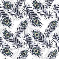 Peacock feather pattern design vector