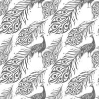 Peacock feather pattern design vector