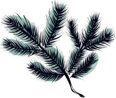 Fir branch isolated illustration with green shadow vector