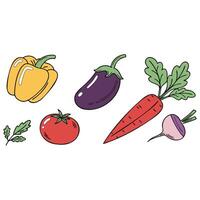 Fresh Garden Vegetable Graphics vector