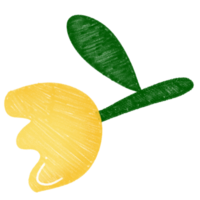 A charming hand-drawn tulip in yellow with green leaves, ideal for floral sets, springtime themes png