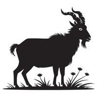 Silhouette of a majestic ibex with large curved horns standing in grass vector