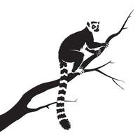 Ring tailed lemur perched on a tree branch in silhouette vector