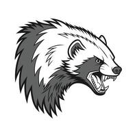 Aggressive Badger Head in Gray with Sharp Teeth Angry Expression animal wildlife vector