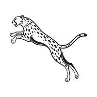A leaping cheetah with spotted coat on a animal wildlife vector