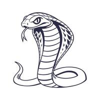 A Cobra Snake with Raised Hood Extended Tongue on serpent reptile vector