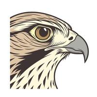 A hawk head profile with brown eye gray beak on bird animal vector
