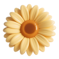 A yellow gerbera daisy isolated on transparent background png