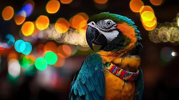 Vibrant Macaw Parrot with Colorful Neckwear in Soft Bokeh Lights. photo
