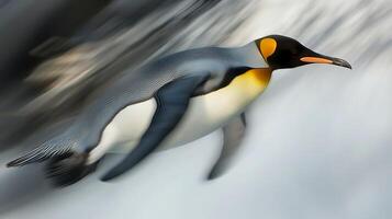 Swift King Penguin in Motion, Abstract Wildlife Photography. photo