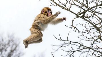Monkey leaps between bare branches against a bright sky. photo