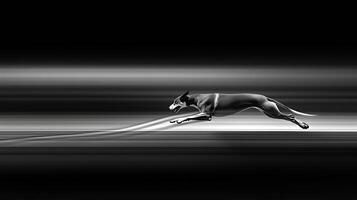 A Sleek Greyhound Captures the Essence of Speed and Motion. photo