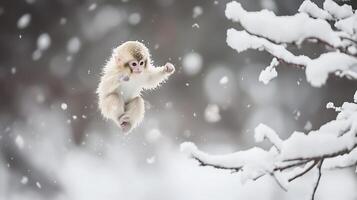 Baby Monkey Jumps Through Falling Snowflakes on Snowy Branches. photo
