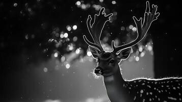 Majestic deer with illuminated antlers in a dark, dreamy forest setting. photo