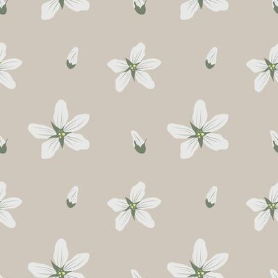 Seamless floral pattern with white flowers. Floral repeat for packaging and fabric