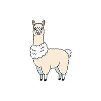 Cute Cartoon Alpaca with Fluffy Fleece and Friendly Expression vector