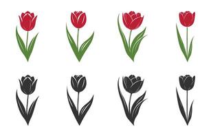Tulip Flower. Beautiful Realistic Tulip Tube For Spring Vibe To Express Love and Beauty Of Spring. vector