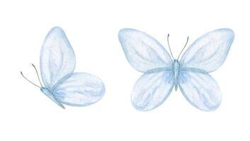 Delicate two abstract soft blue butterflies in flight, top and side views watercolor illustration set isolated background. Hand painted insect sketch for wedding stationery, nursery decor vector