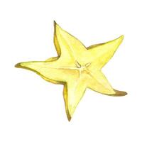 Ripe yellow starfruit slice watercolor illustration isolated background. Exotic and fresh carambola slice in star shape for tropical designs, healthy food branding, summer beverage packaging vector