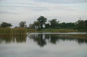 Tranquil lake reflects trees and distant houses under a soft sky photo