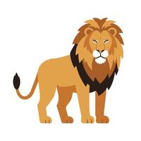 Lion standing on white background illustration vector